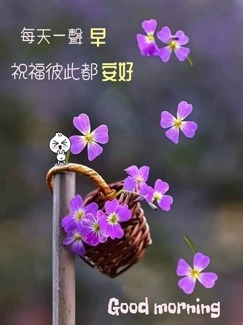 按我可連結至更清楚的圖片